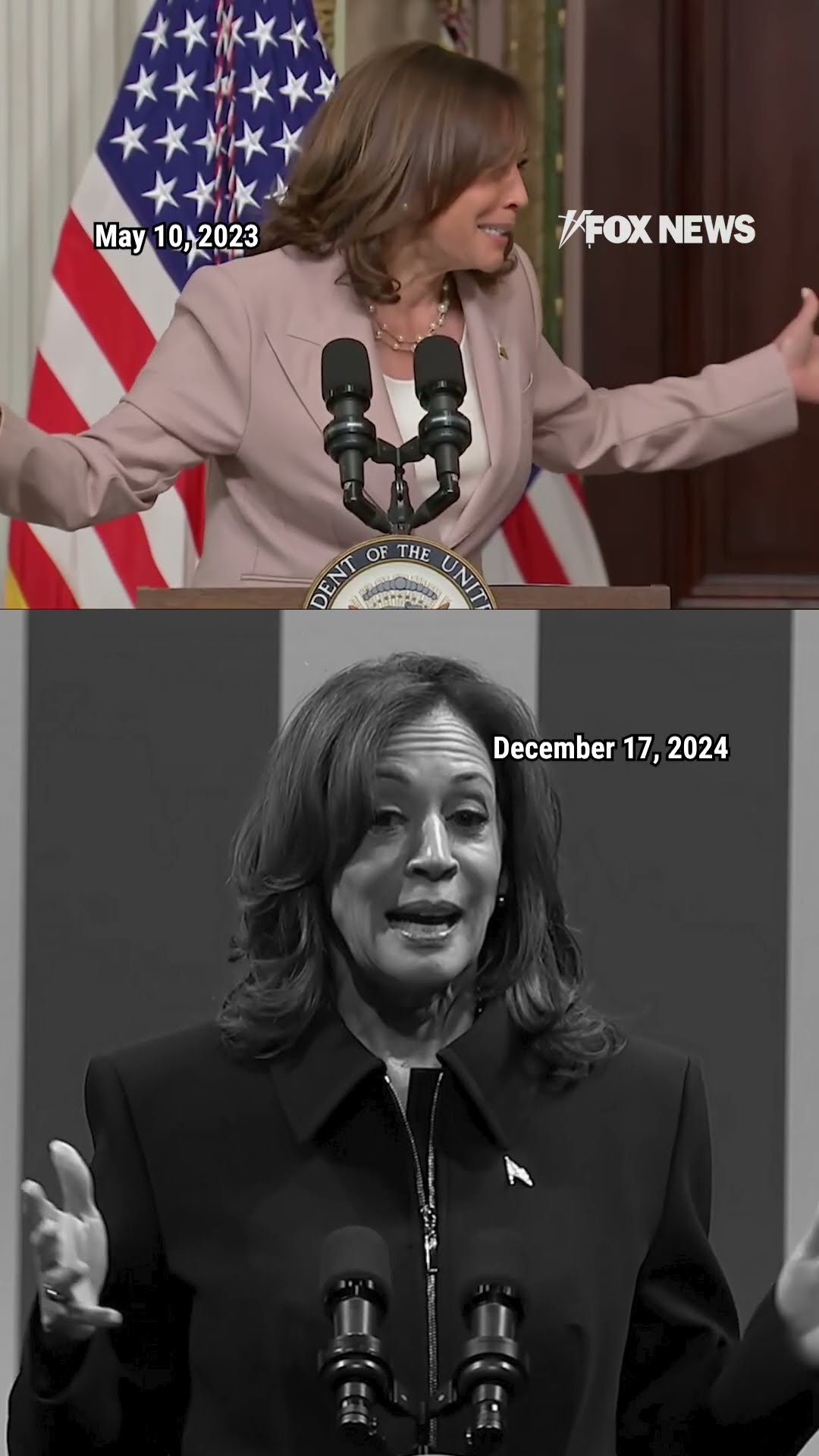 VP Harris laughs at her own word salad in nod to viral 'coconut tree' moment