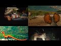 Jurassic World Rebirth 2025 Apatosaurus Dilophosaurus Compsognathus Ankylosaurus Screen Time Jurassic World Rebirth 2025 Apatosaurus Dilophosaurus Compsognathus Ankylosaurus Screen Time