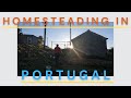 Homesteading In Central Portugal | Enjoying The Sunshine And The Slow Life.