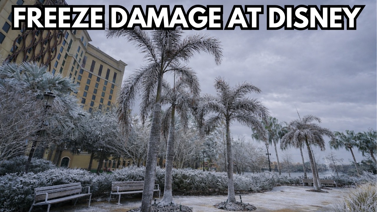 A FROZEN Paradise? ❄️ Disney’s Coronado Springs Freeze Damage Tour