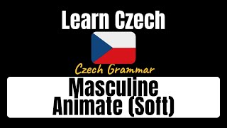 Czech Grammar: Masculine Animate Nouns (Soft Pattern) Explained screenshot 4