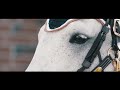 Swimming ( Showjumping Music Video )