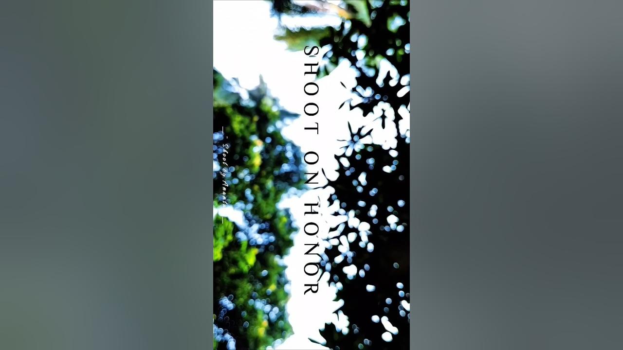Kannulo Unnavu#KannuloUnnavu#KannuloUnnavuSong #TeluguSongs #TeluguLoveSong #viralvideo#nature Kannulo Unnavu#KannuloUnnavu#KannuloUnnavuSong #TeluguSongs #TeluguLoveSong #viralvideo#nature