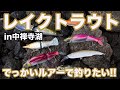 レイクトラウトをビッグベイトで釣ってみたい!in 中禅寺湖