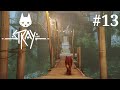 Let's Play Stray 🐈 #13 - Im Ameisendorf