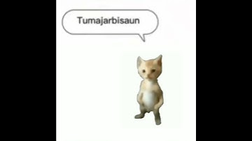 Thumbnail of Wenomechainsama Lyrics