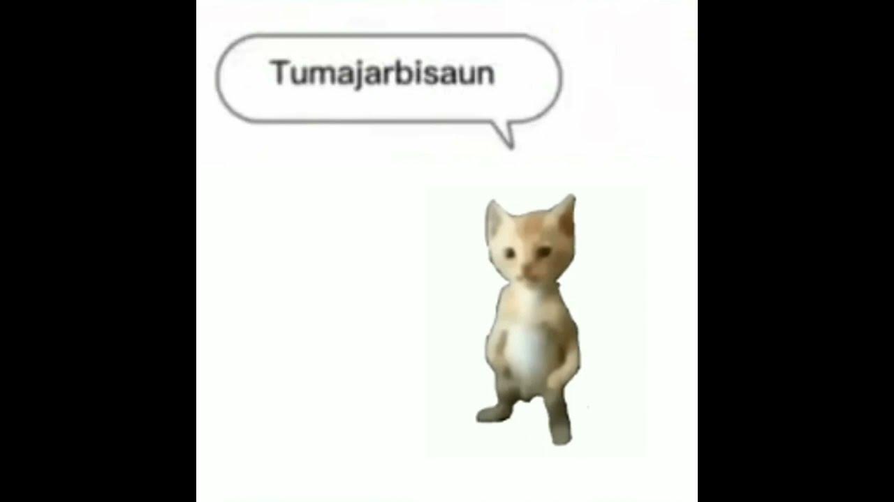Wenomechainsama Lyrics