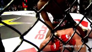 NEW 2015 OVINCE &#39;&#39;OSP&#39;&#39; ST  PREUX    Highlights Knockouts