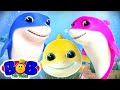 Baby Shark - Best Dance Song for Kids | Nursery Rhymes & Children Songs | Bob The Train
