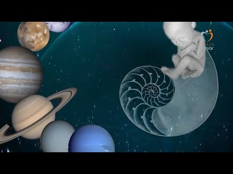 Solta as Amarras - como somos influenciados pelos nossos antepassados