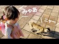 公園の子猫と会話する1歳娘 / Baby girl talking to a cat in the park.