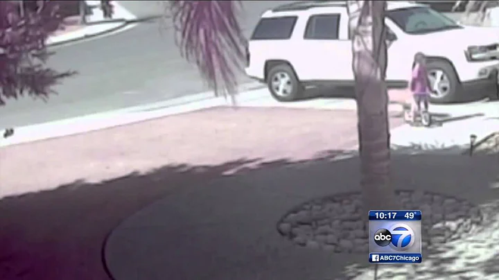 Cat Saves Boy From Dog Attack News 7