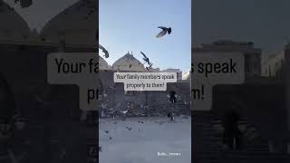 Creator, muslim_._introvert  | shorts feed | trending | quotes shorts tiktok shortsfeed reels