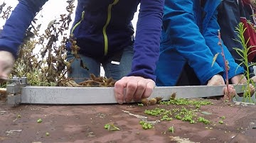 Groundwater sampling in Bulgaria