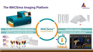 Automated surveillance for deep characterization of the tumor microenvironment using ultra-high...