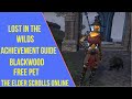 ESO Lost In The Wilds Blackwood Achievement Guide Blackwood Free Pet ESO Lost In The Wilds Blackwood Achievement Guide Blackwood Free Pet