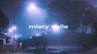 a shoegaze song for late night night walk (shoegaze)