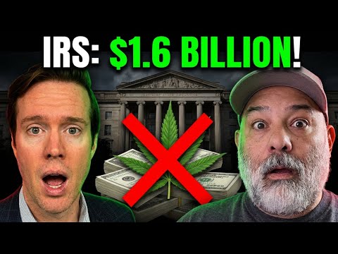 IRS Slams 280E, Virginia Moves to Sell, and Texas Targets THCA