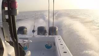 Freeman 42LR...Killin it Wahoo & Grouper style!