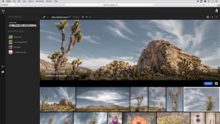 Sharing Web Photo Galleries from Lightroom Web | Adobe Lightroom screenshot 2