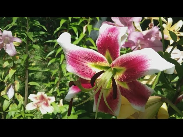 Сиськилерге арналған ақымақ карта ойындары Порно актерлер суреттері