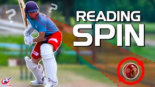 LEARN to PICK/READ SPIN bowling TODAY!!! | Full Batting Guide screenshot 3