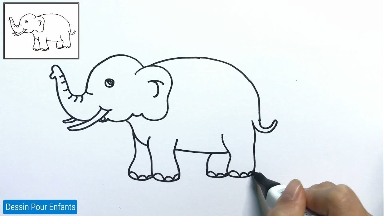 Comment dessiner un éléphant FACILEMENT etape par etape 1 – Dessin