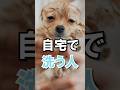 犬がシャンプー後に暴れる理由