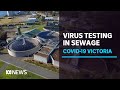Using sewage testing to track down coronavirus in Victoria | ABC News