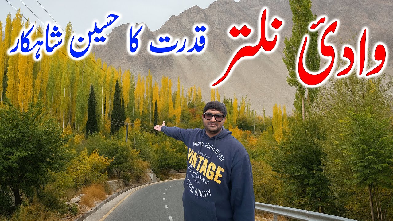The Most Colorful Valley in Pakistan – Welcome to Naltar – EP:50