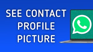 How To See Contact Profile Picture On WhatsApp App On PC (New Update) screenshot 5
