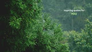 Listen to the Rain 🌧️🍃 | Inspirational Quotes You Must Hear Today 💚