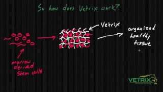 Vetrix - How Vetrix Works