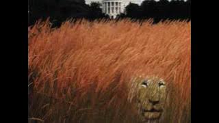White Lion - Cry for freedom