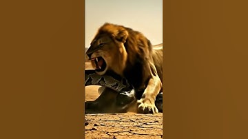 Who Will Win? León vs Pitón 믿기 힘든 사자 vs 비단뱀의 野生の死闘 勝つのは誰だ？ Quién ganará?#python #lion #viral