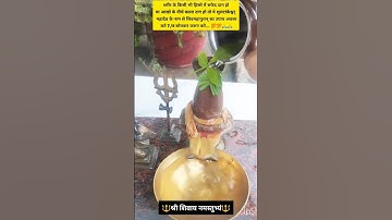 व्यक्ति के शरीर में किसी हिस्से में सफेद दाग या काला दाग आजाए तो यह उपाय अवश्य करें ये नाम लेकर ठीक