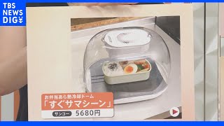 真夏の食中毒に注意！おにぎりの“安全な”握り方って？保冷剤“不要”の進化系弁当箱も登場！｜TBS NEWS DIG