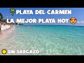 PLAYA DEL CARMEN😍PLAYAS HERMOSAS ACTUALMENTE🔴29 OCTUBRE 2022🌴