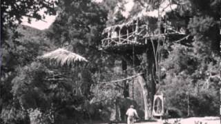 Tarzan Escapes 1936 - 4-Jane Stays