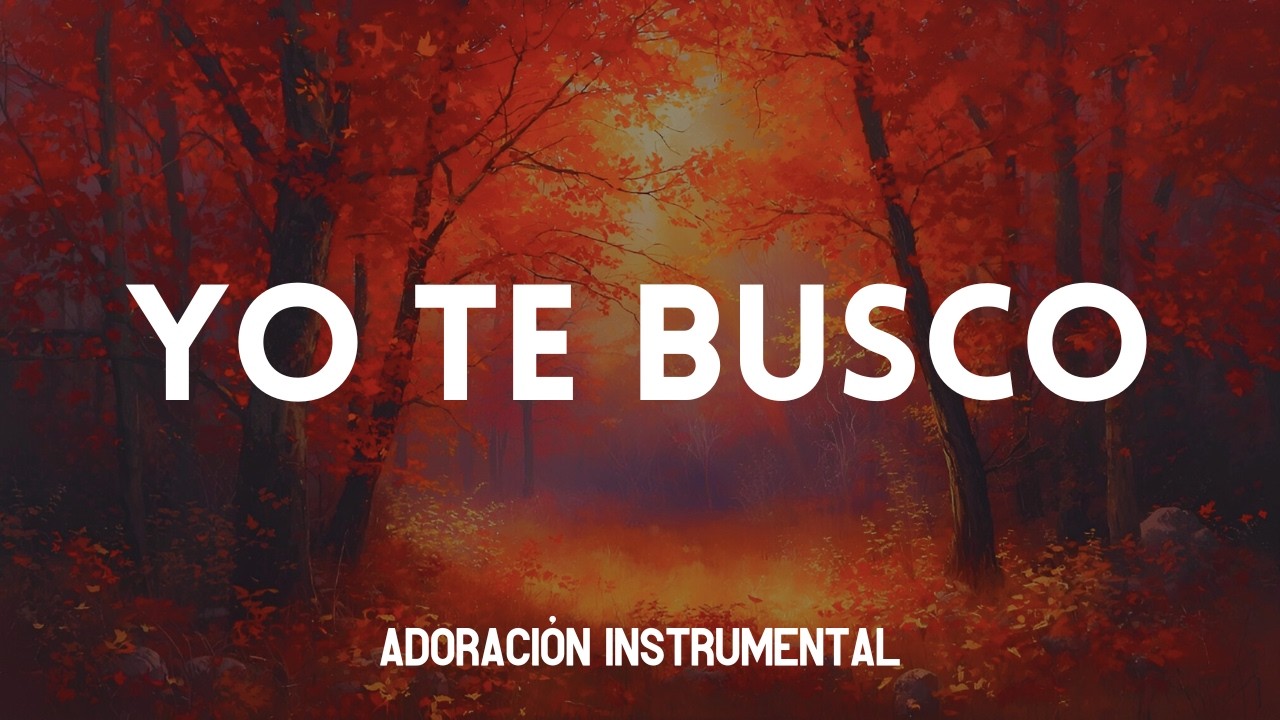 Yo te busco | Música Instrumental de Adoración | Piano para orar