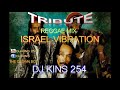 DJ KINS 254 - Best Of Israel Vibration | Reggae Mix 2020 |
