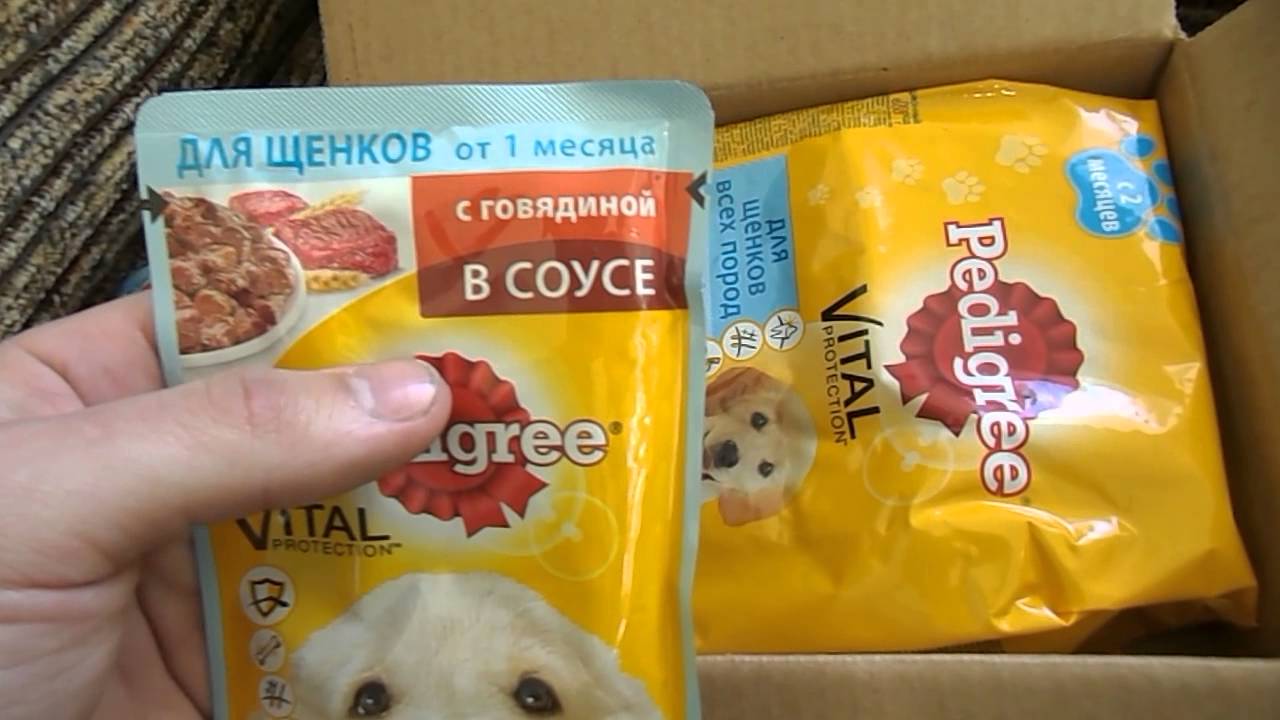 Бесплатный корм для щенков от Pedigree