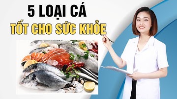 5 loại cá bổ dưỡng giúp bạn khỏe mạnh hơn mỗi ngày – Cải thiện sức khỏe!  | Dr Thu Hằng