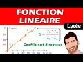 📐 Fonctions LINÉAIRES - Coefficient directeur | physique chimie | Lycée