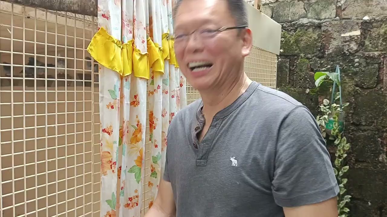 PHA OA CHAMPION ONLY YOUNG WITH COMPLETE CLOCKING 7 LAPS SIR MANNY GO