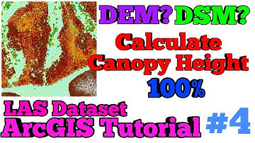 LAS Dataset Calculate Canopy height ArcGIS Tutorial