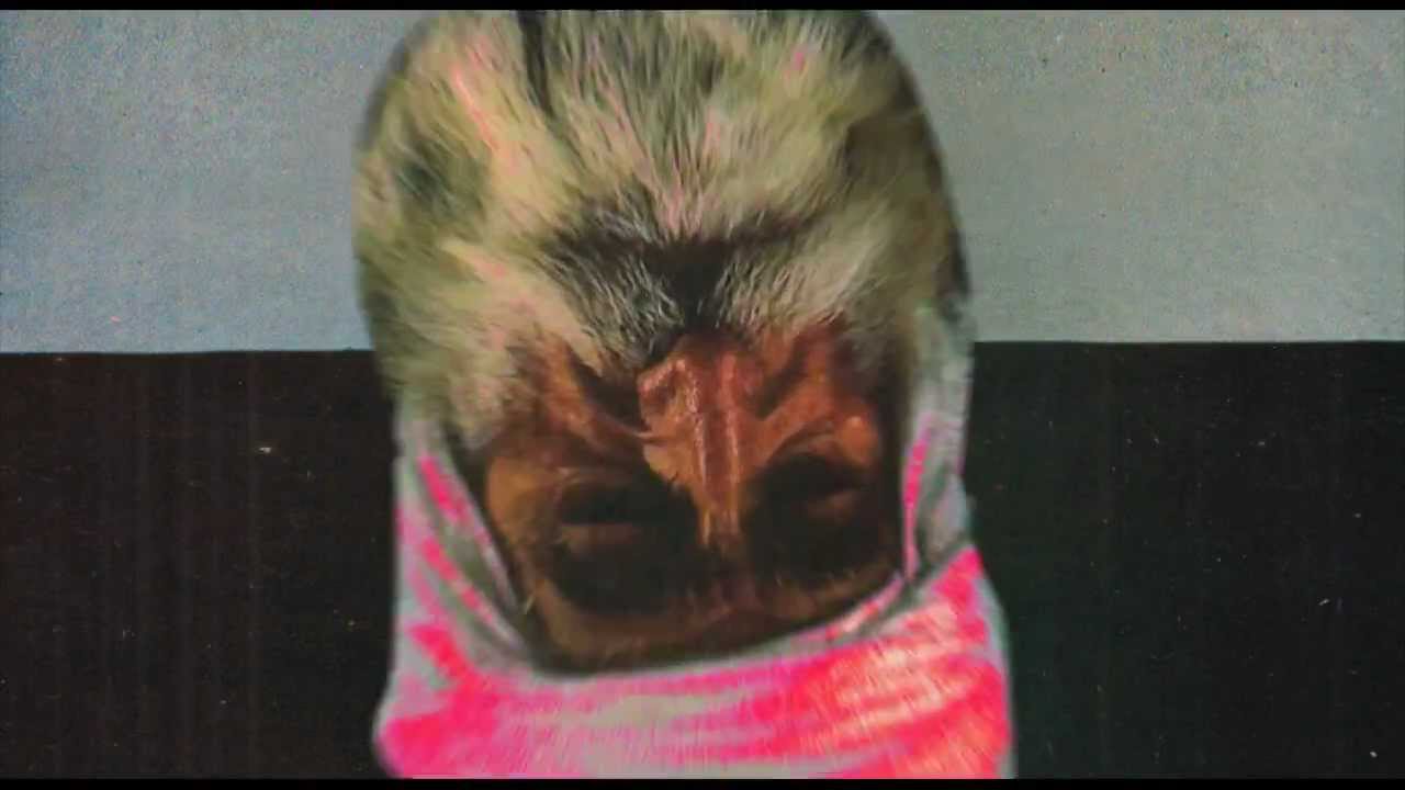 Watch Slugabed - 'Sun Too Bright Turn It Off' (Official Video) on YouTube Watch Slugabed - 'Sun Too Bright Turn It Off' (Official Video) on YouTube