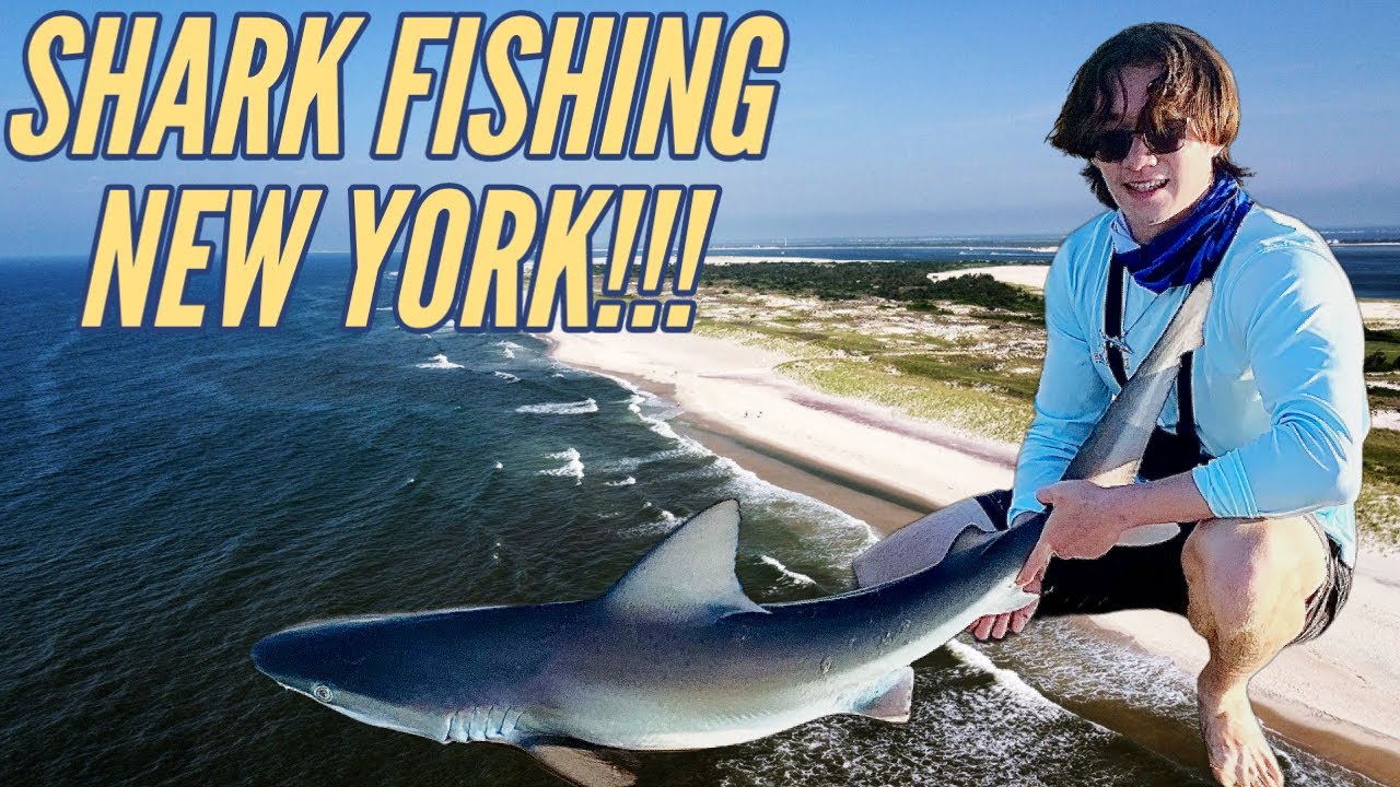 SHARK FISHING South Shore of LONG ISLAND for Spinner Sharks!!! - YouTube