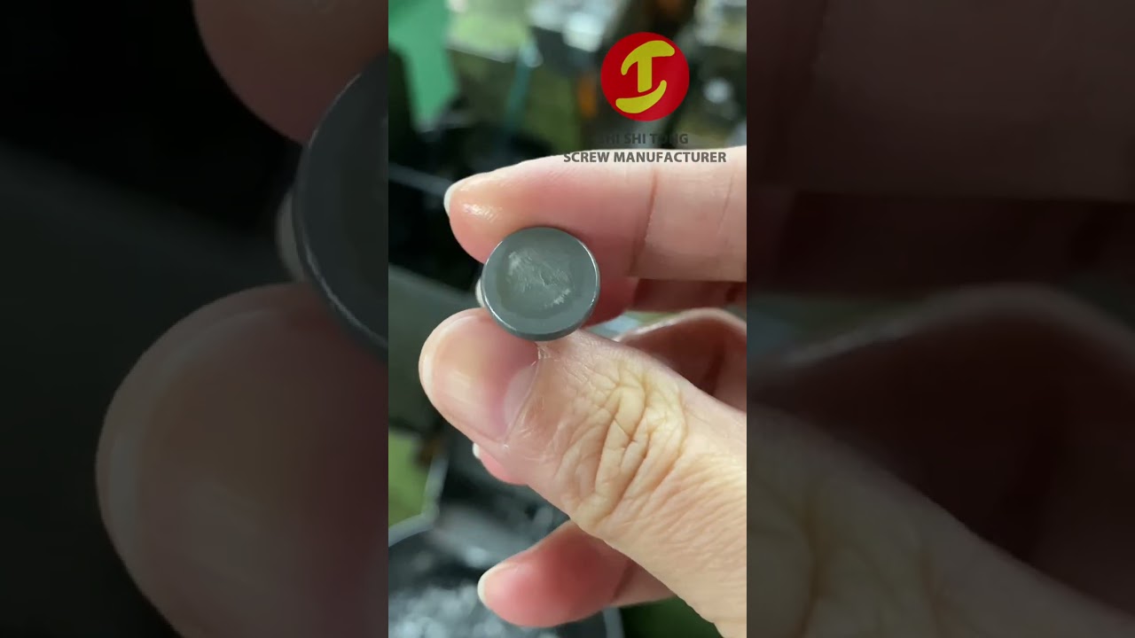 Steel ultra low profile low head slotless machine screw