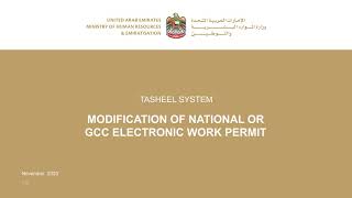Modification Of National Or GCC Electronic Work Permit screenshot 3